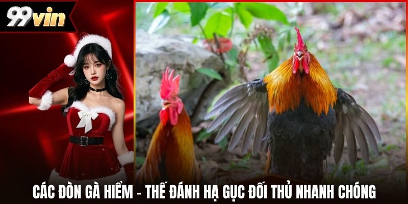 Các Đòn Gà Hiểm - Thế Đánh Hạ Gục Đối Thủ Nhanh Chóng