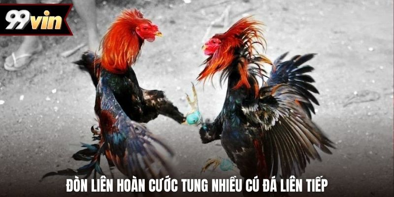 Đòn liên hoàn cước tung nhiều cú đá liên tiếp