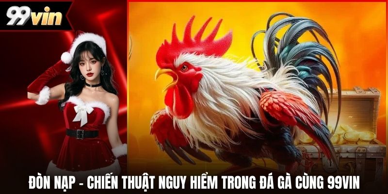 Đòn Nạp – Chiến Thuật Nguy Hiểm Trong Đá Gà Cùng 99vin