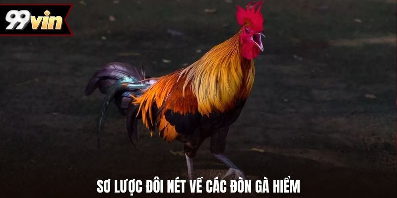 Sơ lược đôi nét về các đòn gà hiểm